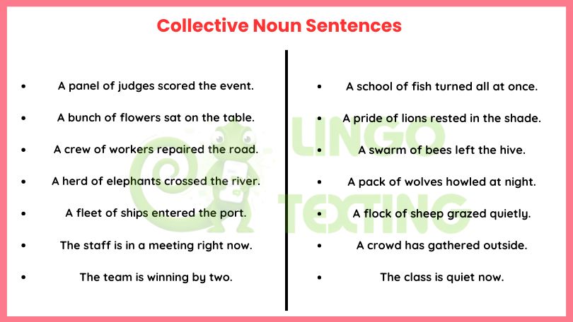 Collective Noun Sentences: Examples, Meaning & Real-Life Usage