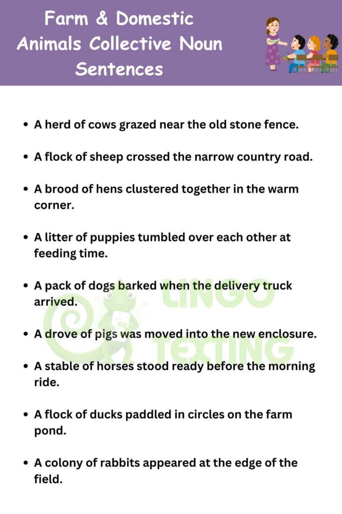 Farm & Domestic Animals Collective Noun Sentences