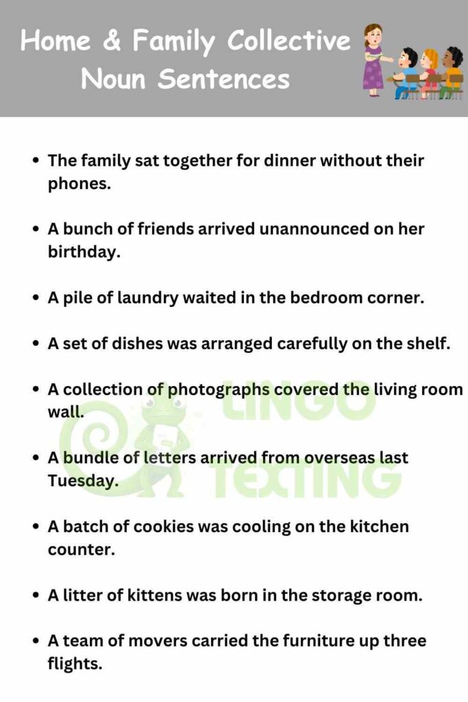 Home & Family Collective Noun Sentences
