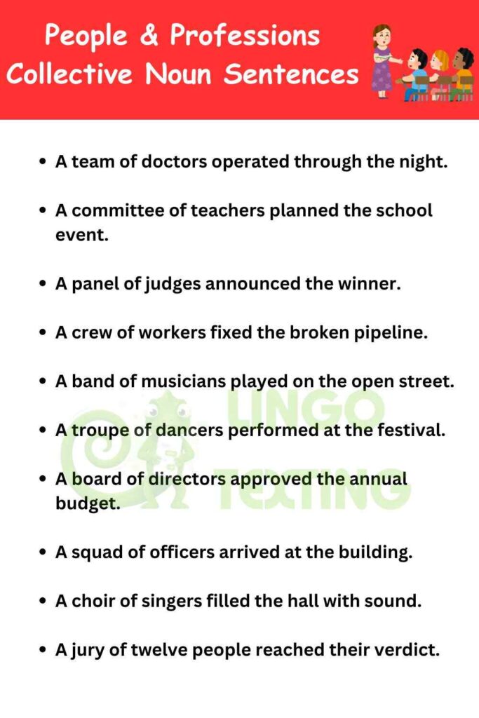 People & Professions Collective Noun Sentences