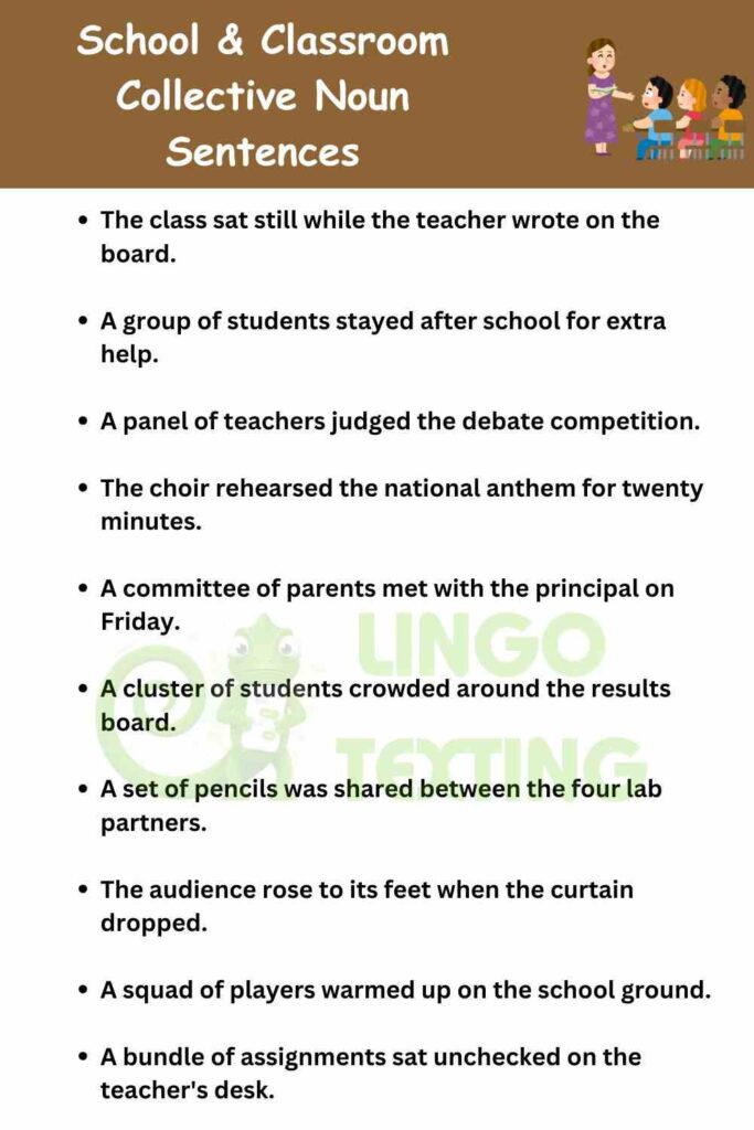 School & Classroom Collective Noun Sentences