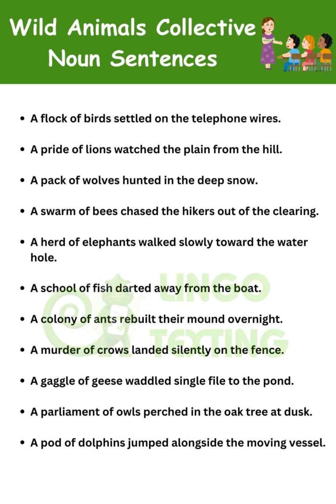 Wild Animals Collective Noun Sentences