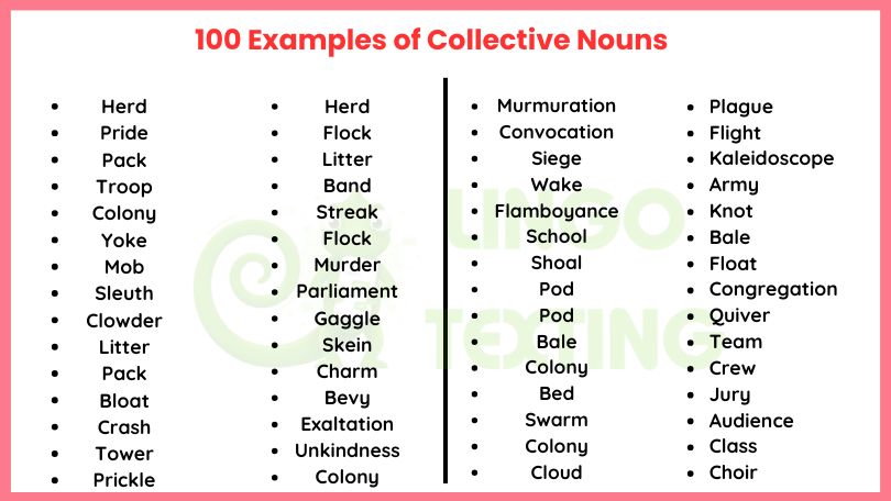 100 Examples of Collective Nouns - With Meanings and Sentences