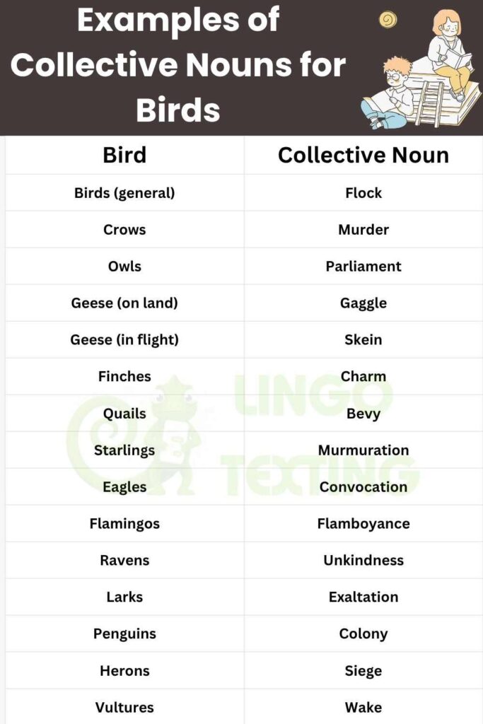Examples of Collective Nouns for Birds