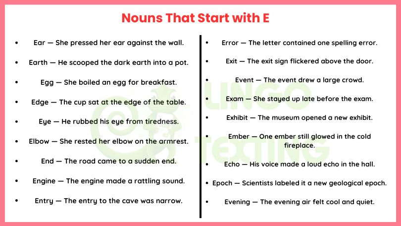 350+ Nouns That Start with E: Complete Word List with Examples 