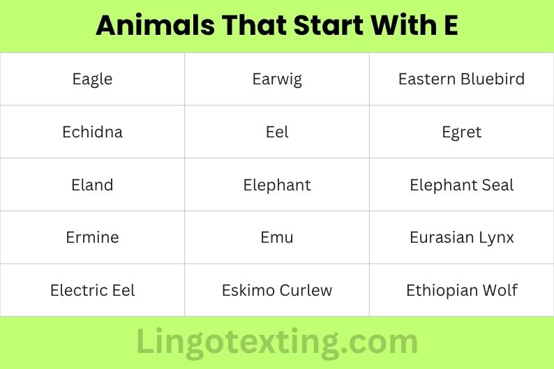 Animals That Start With E