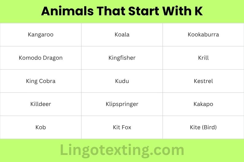 Animals That Start With K