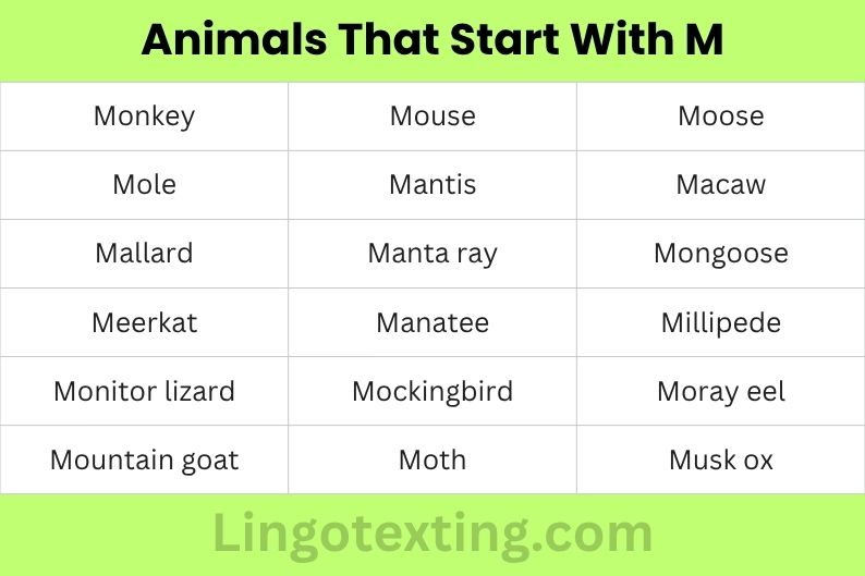 Animals That Start With M
