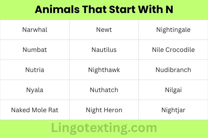 Animals That Start With N