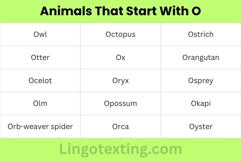 Foods That Start With O