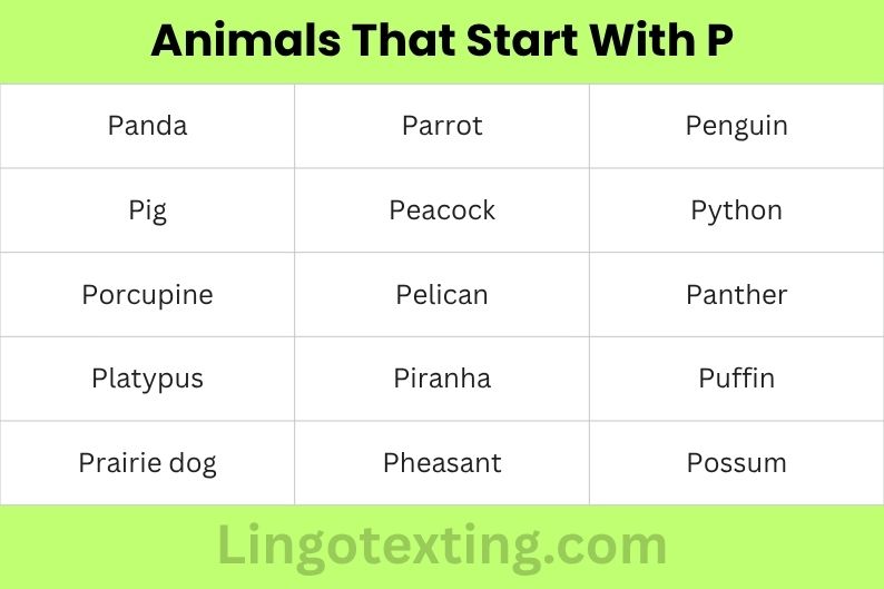 Animals That Start With P
