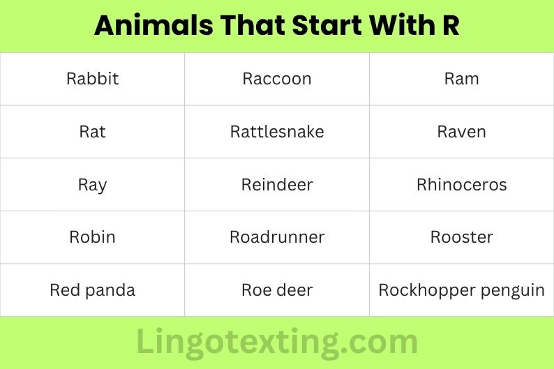 Animals That Start With R
