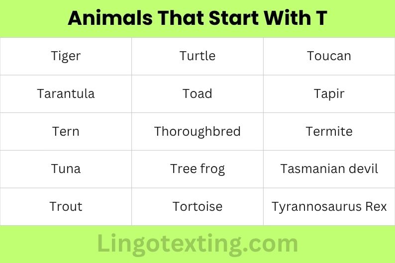 Animals That Start With T