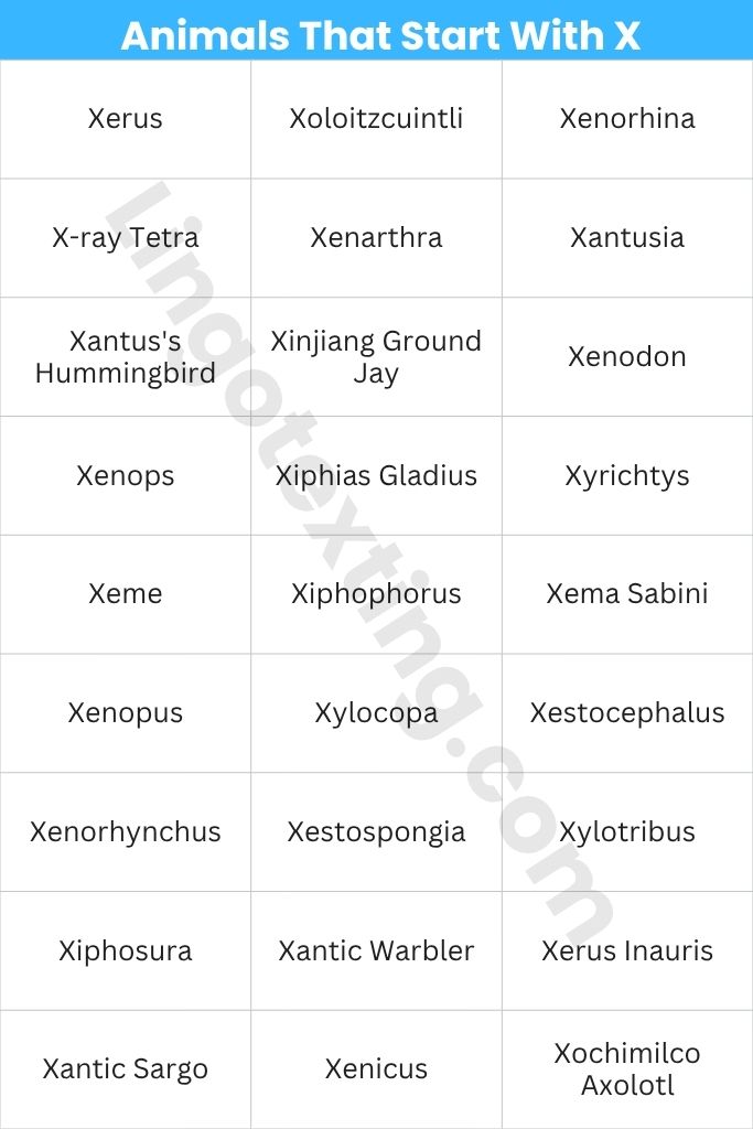 Animals That Start With X