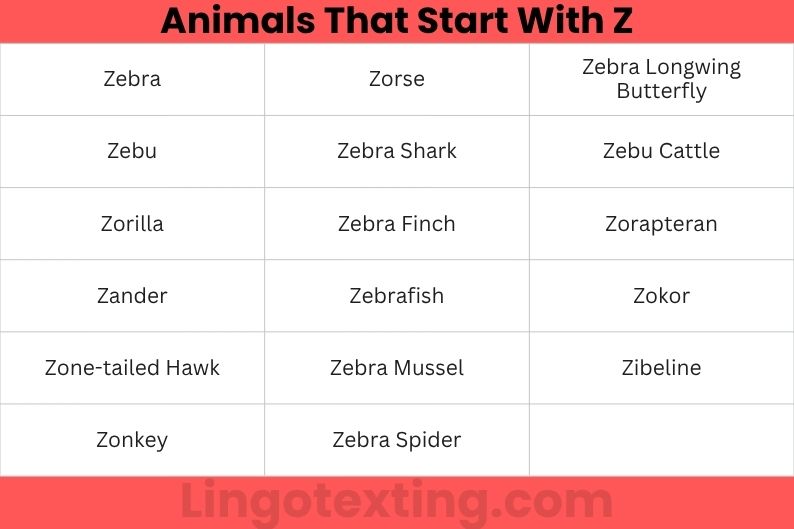 Animals That Start With Z