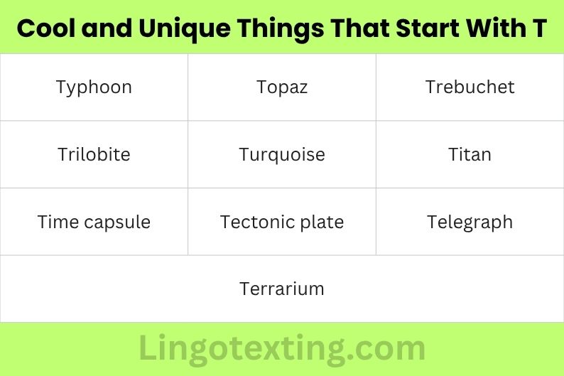 Cool and Unique Things That Start With T