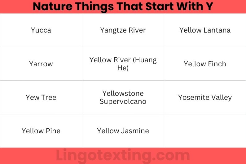 Nature Things That Start With Y