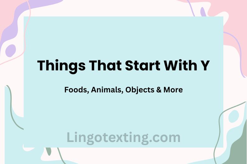 Things That Start With Y: Foods, Animals, Objects & More
