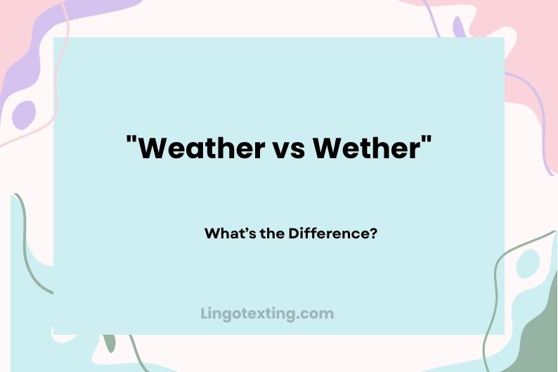 Weather vs Wether: What’s the Difference?